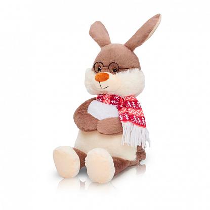 Купить Подарок Умник 31x17х15, 800 грамм  